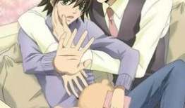 最新耽美动漫,探索青春与爱情的独特魅力